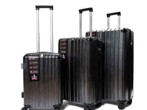 Camel Mountain 953 PC Spinner Luggage - Image 2