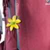 Deuter Giga SL Backpack 1 Deuter Giga SL Backpack -Bag Sale Store 7cc935 f5457215ae58425aaa2edcfd3bd279dcmv2 1